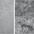 Obrázek 5 – Vzhled vzorku zinku po 1 roční expozici v tunelu