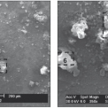 Obrázek 6 – Analyzované plochy vzorku zinku po 1 roce expozice