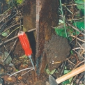 Obr. 4 – Základový rohový uholník stožiarov (viď obr. 3) po oddelení koróznych krýh bol zoslabený o 60 % pôvodnej hrúbky