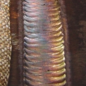 Obr. 5a – Krycí vrstva svarů; osa trubky vodorovná 