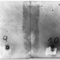 Obr. 9 – Nepřebroušená zadní strana vzorku III provedeného z plechu S 355