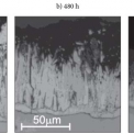 Obr. 6 – Struktura Zn povlaků vytvořených při teplotě 460 °C během zkoušek v neutrální solné mlze