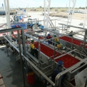 PSJ v Rusku dokončuje závod na výrobu rajčatové pasty