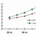Obr. 8 – Srovnání hmotností příčných vazeb pro H = 9 m a B = 9 m