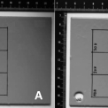 Obrázek 5 – Mechanické poškození duplexního povlaku s postupným zvyšováním nárazové síly – A: výchozí stav; B: vzorek s vytvořenými vadami (označeno)