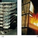 Obr. 2 – Požární zkouška č. 6 v Cardingtonu: (A) Konstrukce experimentálního objektu; (B) Průběh požární zkoušky