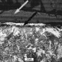 Obr. 4 – Řez hranou po laserovém řezání s vrstvami oxidů a martensitu (podle Zgraggena 4))