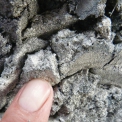 Obr. 28 – Podoba tvrdého zinku odstráneného zo Zn kúpela vo vani