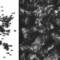 Obr. 1 – Ocelový granulát GP18 a snímek otryskaného povrchu (zvětšení 100×)