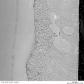Obrázek 1 – Mikrostruktura povlaku získanéhometodou dvojího ponoru [11]. (foto: Henryk Kania)