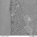 Obrázek 2 – Mikrostruktura povlaku získaného metodou dvojího ponoru s vybranými oblastmianalýzy chemického složení ; analýzy chemického složení ; a) difúzní vrstva. (foto: Henryk Kania)