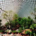 Obr. 4 – Pohľad do interiéru skleníka
