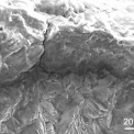 Obr. 4 – Povrchová vrstva zobrazená rastrovacím elektronovým mikroskopem